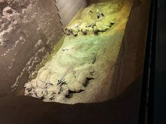 -秦始皇帝陵博物院-丽山园