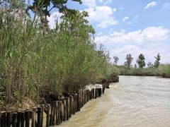 -泗洪洪泽湖湿地景区