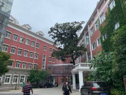 点击看大图 -复旦大学附属妇产科医院(黄浦院区)