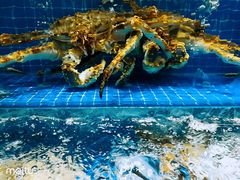 -聚宝渔港.五钻酒家(上地店)