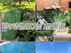 -青藏高原野生动物园