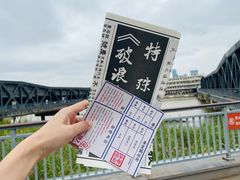 -武汉知音号