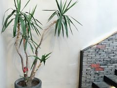 -几荷·恰似故人来(秀水广场店)