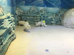 -华夏文旅海洋公园