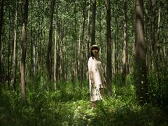 -合肥滨湖国家森林公园