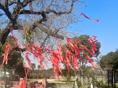-嬉乐湾休闲旅游区