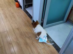 -瑞派宠物医院(锦江店)