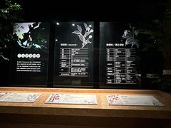 -中国沉香文化博物馆