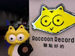 -浣熊唱片店(上海影城店)