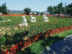 -羊亭河湿地公园