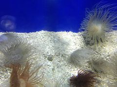 -洛阳龙门海洋馆