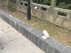 -句容茅山景区