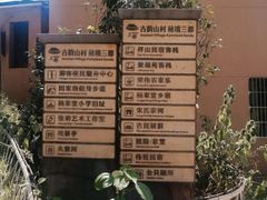 -杨家堂村