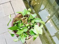 -泉乐坊步行街(烟酒特产平价超市店)