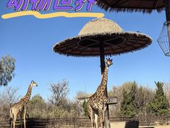 -济南野生动物世界