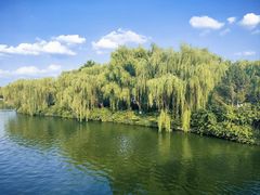 -济南大明湖景区