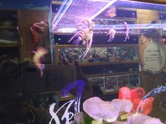 -龟与熊猫宠物公园(南坪店)