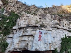 -仙蘑洞