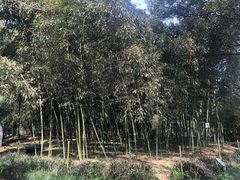 -兰亭风景区