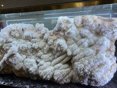 -湖南省地质博物馆