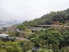 -福道