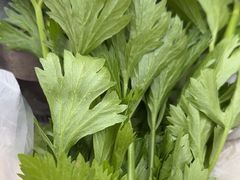 -大自然农场蔬菜草莓采摘园