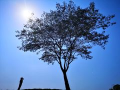 -盘龙城国家考古遗址公园