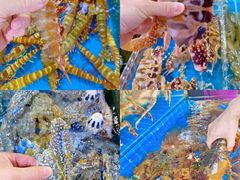 -四川小胡子海鲜(丁村万人海鲜广场店)