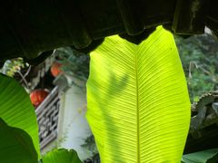 -衣裳街历史文化街区