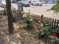 -宠车虎•京安机动车检测场