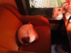 -江湖边·小生活