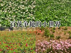 -汉长安城未央宫国家考古遗址公园