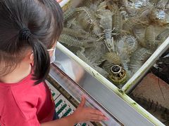 -大湾区中央湿地公园-十九涌