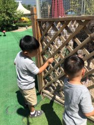 -萌宠亲子动物乐园(槐房万达店)