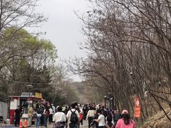 -沈阳辉山风景区
