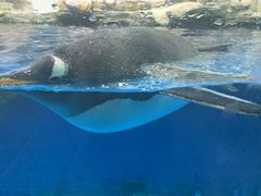 -华夏文旅西安度假区