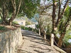 -上海佘山国家森林公园西佘山园