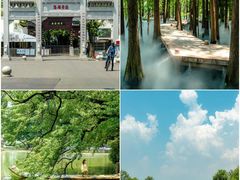 -东湖落雁景区