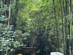 -凤栖山