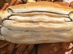 -必点海鲜·海肠捞饭(滨江道一店)