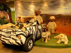 -济州岛泰迪熊博物馆