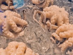 -铭聚章鱼土笋冻(松柏店)