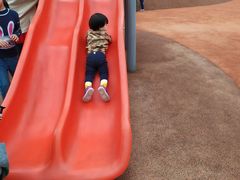 -枫香湖儿童公园