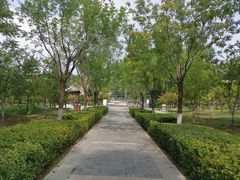 -莲花池公园
