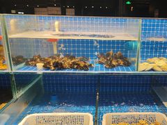 -翠林精选·洗浴·餐饮·住宿(江东大道店)
