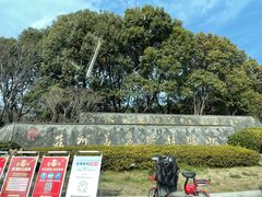 -树山生态村