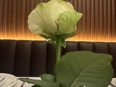 -DA·MARCO大马可意大利餐厅(京华店)