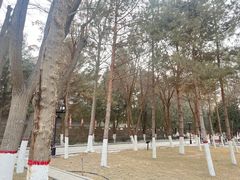 -张掖大佛寺景区