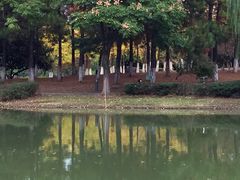 -白塘生态植物园