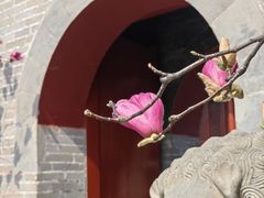 -红螺寺